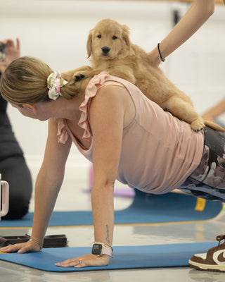 Puppy Yoga Barrie