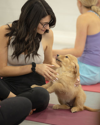 Puppy Yoga Barrie