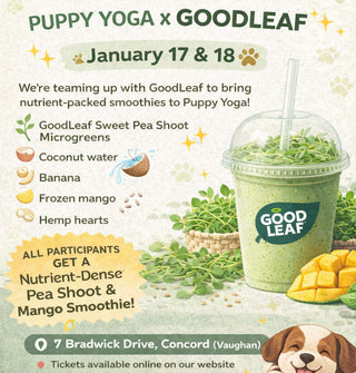 Puppy Yoga Vaughan