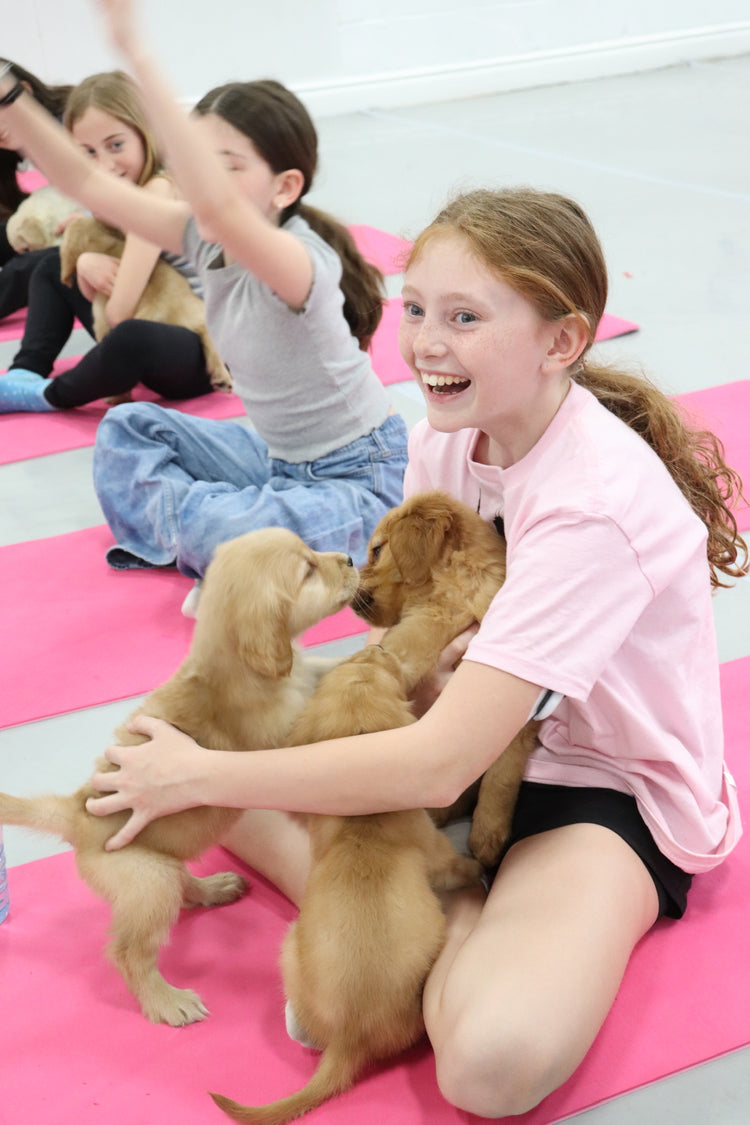 Puppy Yoga Studio class